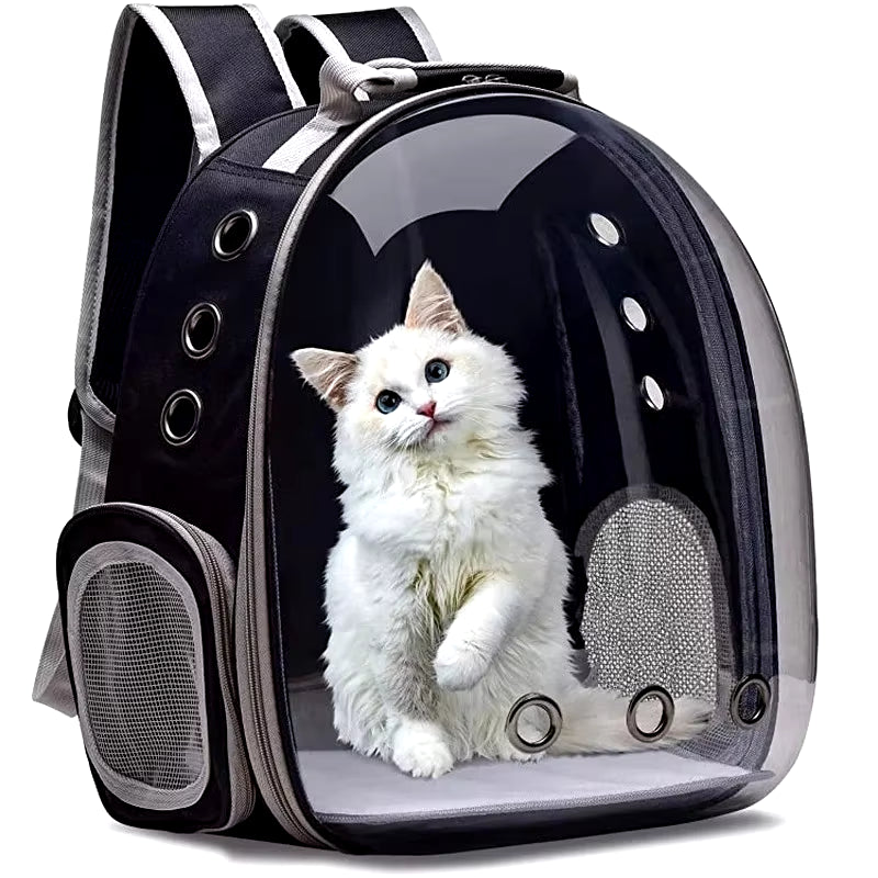 Cat Travel Bubble Backpack