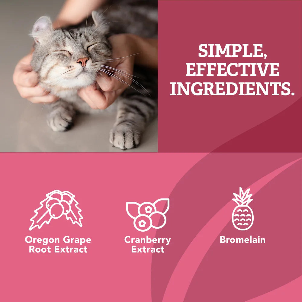 Cat Urinary Care Chews