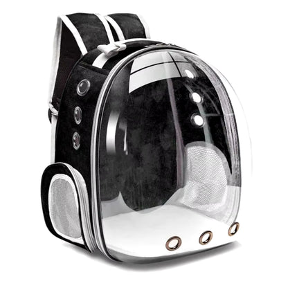 Cat Travel Bubble Backpack