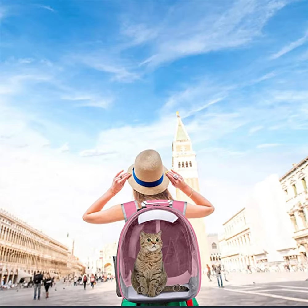 Cat Travel Bubble Backpack